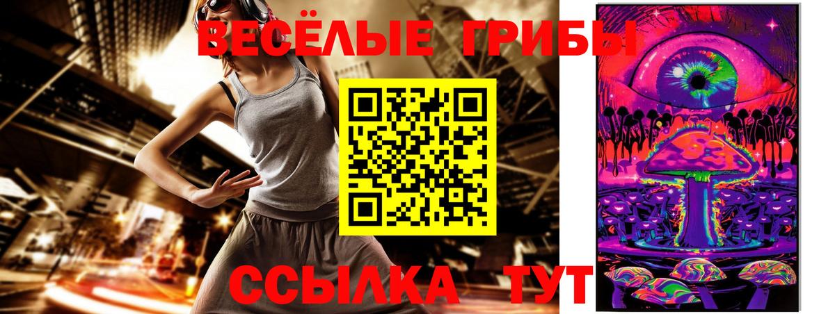 Гатчина  купить закладку  Вход с VPN  Псилоцибиновые грибы мицелий 